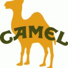 camel logo.gif